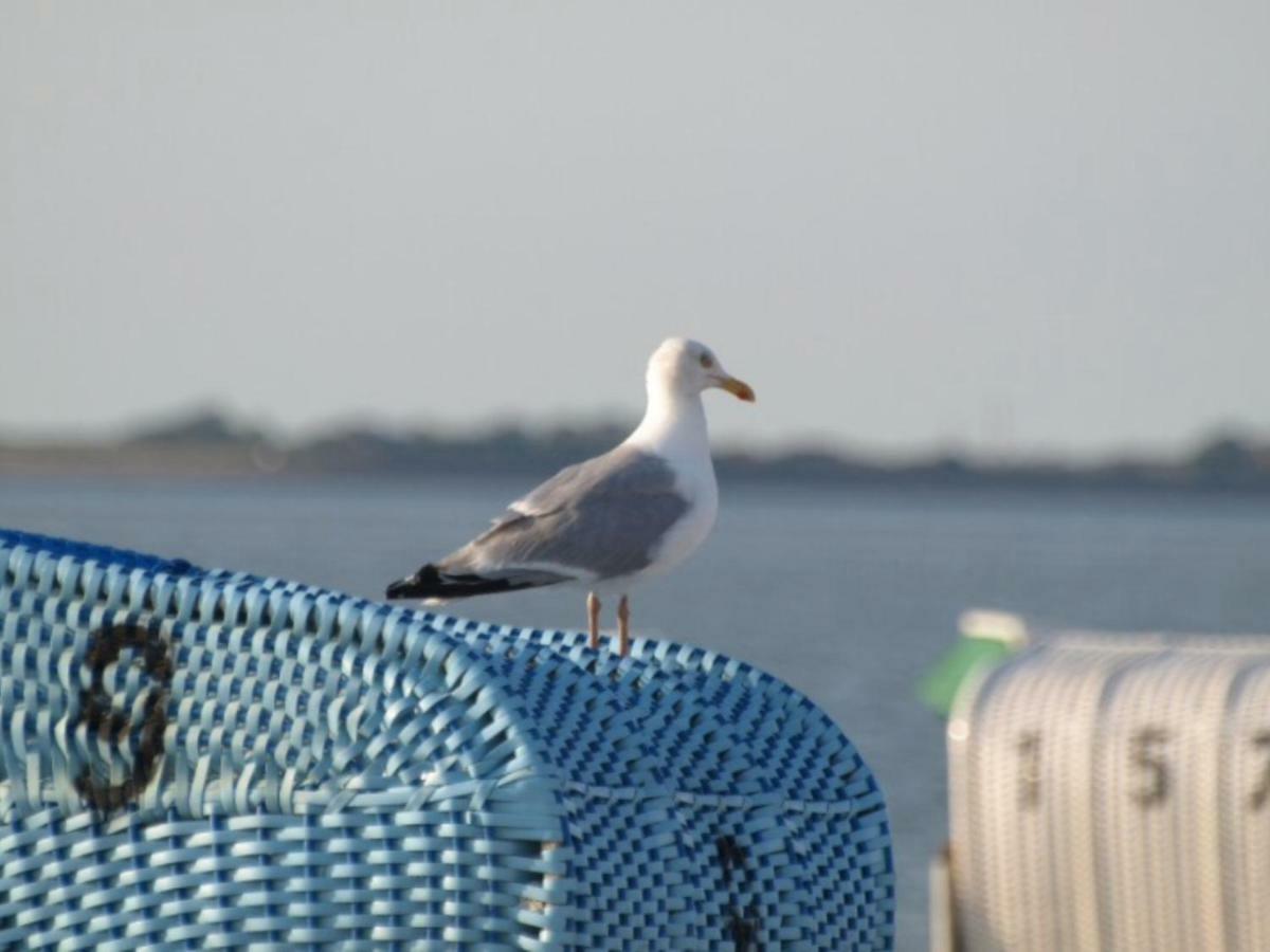 Strandlaeufer Schönhagen Esterno foto